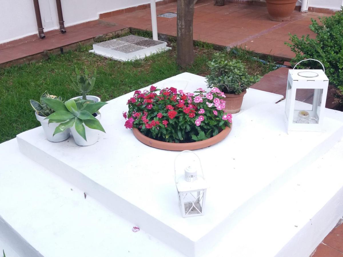 Casa Agrumeto - Locazione Turistica Mondello Dış mekan fotoğraf