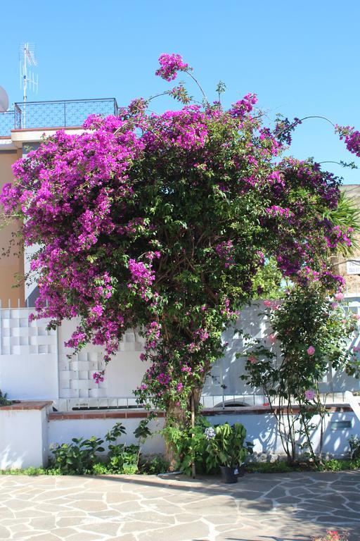 Casa Agrumeto - Locazione Turistica Mondello Oda fotoğraf