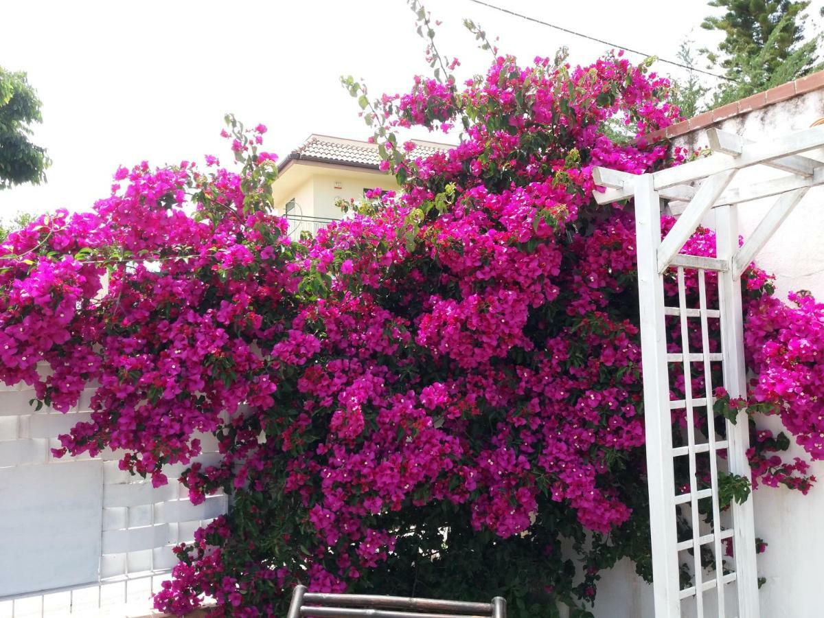 Casa Agrumeto - Locazione Turistica Mondello Dış mekan fotoğraf