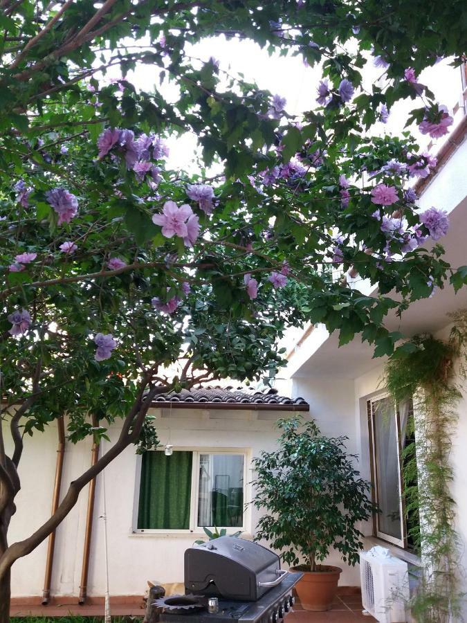 Casa Agrumeto - Locazione Turistica Mondello Dış mekan fotoğraf